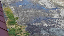 Nástup na běžecké tratě