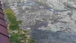 Nástup na běžecké tratě