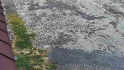 Nástup na běžecké tratě