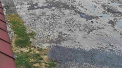 Nástup na běžecké tratě