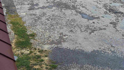 Nástup na běžecké tratě