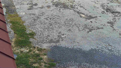 Nástup na běžecké tratě