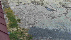 Nástup na běžecké tratě