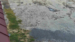 Nástup na běžecké tratě