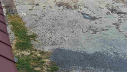 Nástup na běžecké tratě