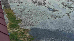 Nástup na běžecké tratě