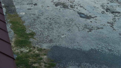 Nástup na běžecké tratě