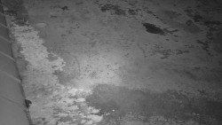 Nástup na běžecké tratě