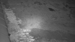 Nástup na běžecké tratě