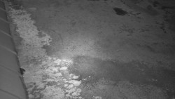 Nástup na běžecké tratě