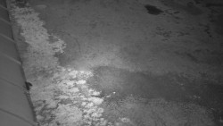 Nástup na běžecké tratě