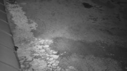 Nástup na běžecké tratě