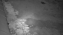 Nástup na běžecké tratě