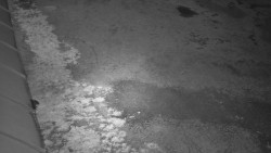 Nástup na běžecké tratě