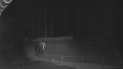 Nástup na běžecké tratě