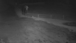 Nástup na běžecké tratě