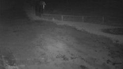 Nástup na běžecké tratě