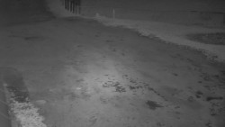 Nástup na běžecké tratě