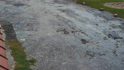 Nástup na běžecké tratě