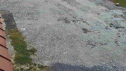 Nástup na běžecké tratě