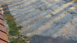 Nástup na běžecké tratě