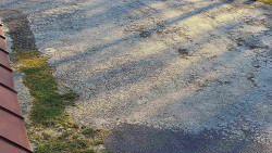 Nástup na běžecké tratě