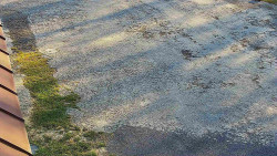 Nástup na běžecké tratě