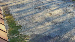 Nástup na běžecké tratě