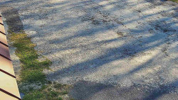 Nástup na běžecké tratě