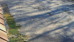 Nástup na běžecké tratě