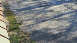 Nástup na běžecké tratě