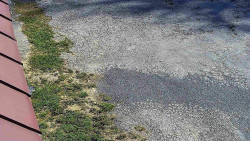 Nástup na běžecké tratě