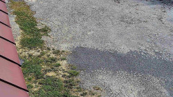 Nástup na běžecké tratě