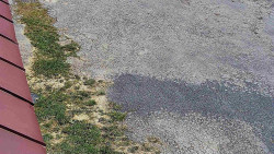 Nástup na běžecké tratě