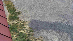 Nástup na běžecké tratě