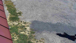 Nástup na běžecké tratě