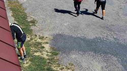 Nástup na běžecké tratě