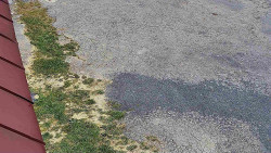 Nástup na běžecké tratě