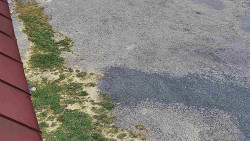 Nástup na běžecké tratě