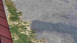 Nástup na běžecké tratě