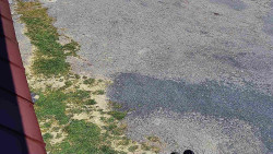 Nástup na běžecké tratě