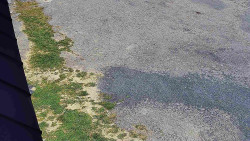 Nástup na běžecké tratě