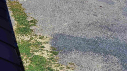 Nástup na běžecké tratě