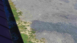 Nástup na běžecké tratě