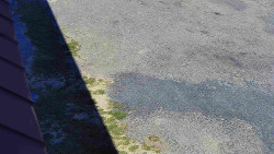 Nástup na běžecké tratě