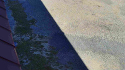 Nástup na běžecké tratě