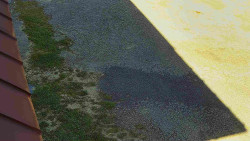 Nástup na běžecké tratě