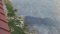 Nástup na běžecké tratě