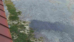 Nástup na běžecké tratě