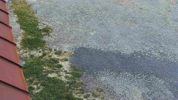 Nástup na běžecké tratě